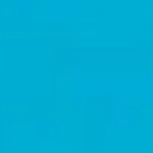 Meet your Posher, Stella